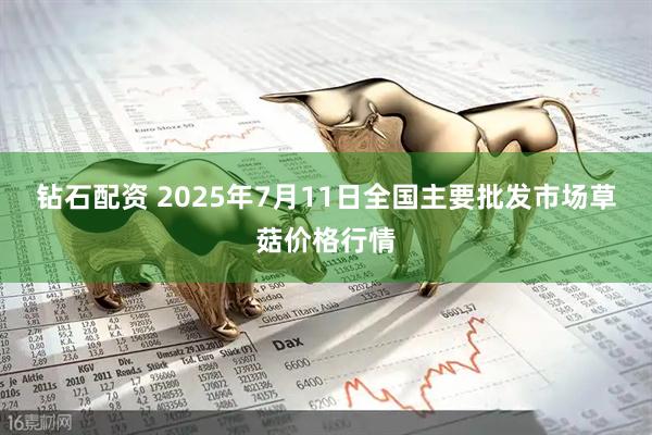钻石配资 2025年7月11日全国主要批发市场草菇价格行情