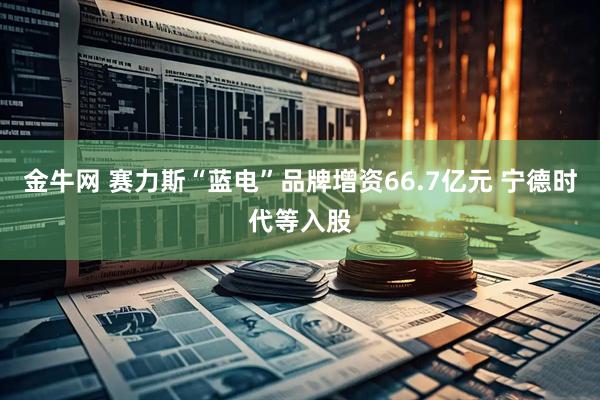 金牛网 赛力斯“蓝电”品牌增资66.7亿元 宁德时代等入股